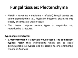 Fungal tissues: Plectenchyma
• Plekein = to weave + enchyma = infusion) Fungal tissues are
called plectenchyma i.e., mycelium becomes organized into
loosely or compactly woven tissue.
• This tissue compose various types of vegetative and
reproductive structures.
Types of plectenchyma:
• 1.Prosenchyma: It is a loosely woven tissue. The component
hyphae retain their individuality which can be easily
distinguishable as hyphae and lie parallel to one another.Eg.
Trauma in Agaricus.
 