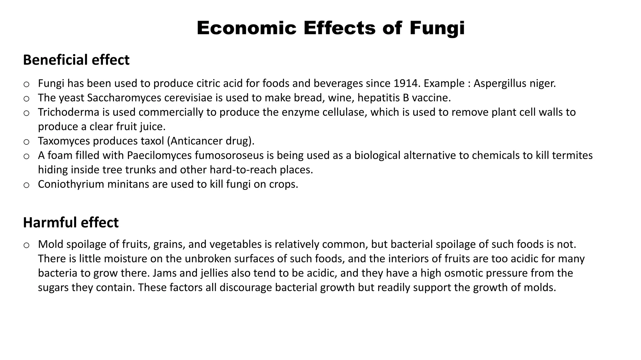 Economic Effects of Fungi
o Fungi has been used to produce citric acid for foods and beverages since 1914. Example : Aspergillus niger.
o The yeast Saccharomyces cerevisiae is used to make bread, wine, hepatitis B vaccine.
o Trichoderma is used commercially to produce the enzyme cellulase, which is used to remove plant cell walls to
produce a clear fruit juice.
o Taxomyces produces taxol (Anticancer drug).
o A foam filled with Paecilomyces fumosoroseus is being used as a biological alternative to chemicals to kill termites
hiding inside tree trunks and other hard-to-reach places.
o Coniothyrium minitans are used to kill fungi on crops.
Beneficial effect
Harmful effect
o Mold spoilage of fruits, grains, and vegetables is relatively common, but bacterial spoilage of such foods is not.
There is little moisture on the unbroken surfaces of such foods, and the interiors of fruits are too acidic for many
bacteria to grow there. Jams and jellies also tend to be acidic, and they have a high osmotic pressure from the
sugars they contain. These factors all discourage bacterial growth but readily support the growth of molds.
 