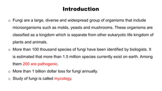 Introduction
o Fungi are a large, diverse and widespread group of organisms that include
microorganisms such as molds, yeasts and mushrooms. These organisms are
classified as a kingdom which is separate from other eukaryotic life kingdom of
plants and animals.
o More than 100 thousand species of fungi have been identified by biologists. It
is estimated that more than 1.5 million species currently exist on earth. Among
them 200 are pathogenic.
o More than 1 billion dollar loss for fungi annually.
o Study of fungi is called mycology.
 