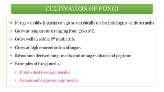 • Fungi – molds & yeasts can grow aerobically on bacteriological culture media
• Grow at temperature ranging from 20-30°C.
• Grow well in acidic PH media 5.6.
• Grow at high concentration of sugar.
• Sabouraud derived fungi media containing maltose and peptone
• Examples of fungi media
• Potato dextrose agar media
• Sabouraud’s glucose agar media
CULTIVATION OF FUNGI
 