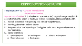 Fungi reproduce by – Asexual reproduction
Sexual reproduction
Asexual reproduction: It is also known as somatic (or) vegetative reproduction. It
doesn’t involve the union of nuclei, se cells or sex organs. It is accomplished by
i. Fission of somatic cells yielding two similar daughter cells.
ii. Budding of somatic cells or spores
iii. Fragmentation or disjointing of the hyphal cells, each fragment becomes a
new organism.
iv. Spore formation
a. Sporangiospores b. Conidiospores c. Oidia (or) Arthrospores
d. Chlamydiospores e. Blastospores
REPRODUCTION OF FUNGI
 