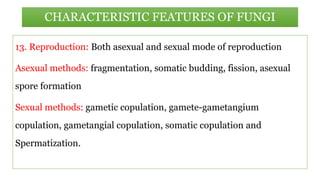 13. Reproduction: Both asexual and sexual mode of reproduction
Asexual methods: fragmentation, somatic budding, fission, asexual
spore formation
Sexual methods: gametic copulation, gamete-gametangium
copulation, gametangial copulation, somatic copulation and
Spermatization.
CHARACTERISTIC FEATURES OF FUNGI
 