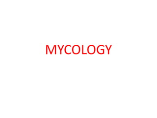 MYCOLOGY
 