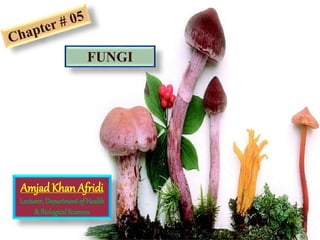 Amjad KhanAfridi
Lecturer,Departmentof Health
& BiologicalSciences
FUNGI
 