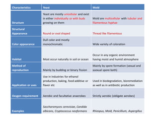 Characteristics Yeast Mold
Structure
Yeast are mostly unicellular and exist
in either individually or with buds
growing on them
Mold are multicellular with tubular and
filamentous hyphae
Structural
Appearance Round or oval shaped Thread like filamentous
Color appearance
Dull color and mostly
monochromatic Wide variety of coloration
Habitat Most occur naturally in soil or ocean
Occur in any organic environment
having moist and humid atmosphere
Method of
reproduction Mainly by budding or binary fission
Mainly by spore formation (sexual and
asexual spore both)
Application or uses
Use in industries for ethanol
production, baking, food additive or
flavor etc
Used in biodegradation, bioremediation
as well as in antibiotic production
Oxygen requirement Aerobic and facultative anaerobes Strictly aerobic (obligate aerobes)
Examples
Saccharomyces cerevisiae, Candida
albicans, Cryptococcus neoformans Rhizopus, Mold, Penicillium, Aspergillus
 