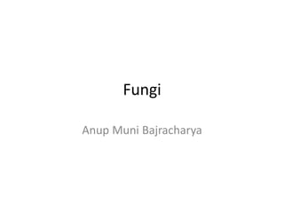 Fungi
Anup Muni Bajracharya
 