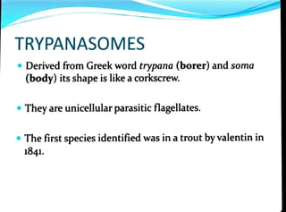 TRYPANASOMES
"Derived from Greek word trypana (borer) and soma
(body) its shape is like acorkscrew.
Theyare unicellularparasitic flagellates.
The first species identified was in atrout byvalentin in
1841.
 
