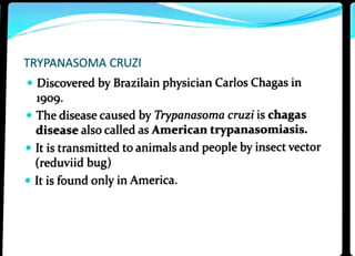 TRYPANASOMA CRUZI
Discovered by Brazilain physician Carlos Chagas in
1909.
Thedisease caused by Trypanasoma cruzi is chagas
disease also called as American trypanasomiasis.
" It is transmitted toanimals and people by insectvector
(reduviid bug)
It is found only in America.
 