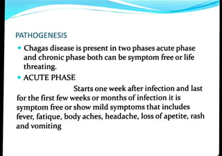 PATHOGENESIS
Chagas disease is present in two phases acute phase
and chronic phase both can be symptom free or life
threating.
ACUTE PHASE
Starts one week after infection and last
for the first few weeks or months of infection it is
symptom freeorshow mild symptoms that includes
fever, fatique, bodyaches, headache, loss ofapetite, rash
and vomiting
 