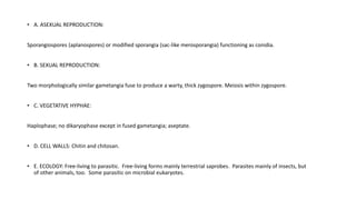• A. ASEXUAL REPRODUCTION:
Sporangiospores (aplanospores) or modified sporangia (sac-like merosporangia) functioning as conidia.
• B. SEXUAL REPRODUCTION:
Two morphologically similar gametangia fuse to produce a warty, thick zygospore. Meiosis within zygospore.
• C. VEGETATIVE HYPHAE:
Haplophase; no dikaryophase except in fused gametangia; aseptate.
• D. CELL WALLS: Chitin and chitosan.
• E. ECOLOGY: Free-living to parasitic. Free-living forms mainly terrestrial saprobes. Parasites mainly of insects, but
of other animals, too. Some parasitic on microbial eukaryotes.
 