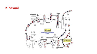 2. Sexual
 