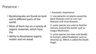 Presence :
• Basidiomycota are found on land
and in different parts of the
world.
• Most of them live on a variety of
organic materials, which have
the
• ability to decompose organic
matter and rot wood.
• Economic importance:
1- Live parasitic on plants caused by
plant diseases such as rust rust
diseases and smut diseases .
2- some species are used as food for
humans around the world, such as
fungus Mushroom .
3- some species are toxic and deadly
to humans called Toadstool, such as
Amanita sp. Which is called the Death
Angel.
 
