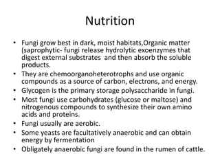 Nutrition
• Fungi grow best in dark, moist habitats,Organic matter
(saprophytic- fungi release hydrolytic exoenzymes that
digest external substrates and then absorb the soluble
products.
• They are chemoorganoheterotrophs and use organic
compounds as a source of carbon, electrons, and energy.
• Glycogen is the primary storage polysaccharide in fungi.
• Most fungi use carbohydrates (glucose or maltose) and
nitrogenous compounds to synthesize their own amino
acids and proteins.
• Fungi usually are aerobic.
• Some yeasts are facultatively anaerobic and can obtain
energy by fermentation
• Obligately anaerobic fungi are found in the rumen of cattle.
 