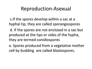 Reproduction-Asexual
c.If the spores develop within a sac at a
hyphal tip, they are called sporangiospores
d. If the spores are not enclosed in a sac but
produced at the tips or sides of the hypha,
they are termed conidiospores
e. Spores produced from a vegetative mother
cell by budding are called blastospores.
 