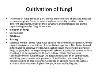 Cultivation of fungi
• The study of fungi relies, in part, on the axenic culture of isolates. Because
so many fungi are found in nature in close proximity to other, quite
different organisms, study of their structure and function relies on the
capacity to grow the fungi in isolation.
• Isolation of Fungi
• Soil samples
• Dilutions
• Plating
• Selective media : Some fungi have specific requirements for growth, or the
capacity to tolerate inhibitors of potential competitors. This factor is used
in formulating selective media. One such medium may enable a range of
fungi to grow, but the target fungus will take on a particular colour or form
enabling it to be subcultured to pure culture. Other formulations
specifically inhibit fungi though the target fungus less than competitors.
Inhibitory processes include presence of antibiotics, vitamins, high
concentrations of organic carbon, absence of specific nutrients such as
amino acids or vitamins, high or low pH, water availability etc.
 