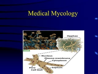 Medical Mycology
 
