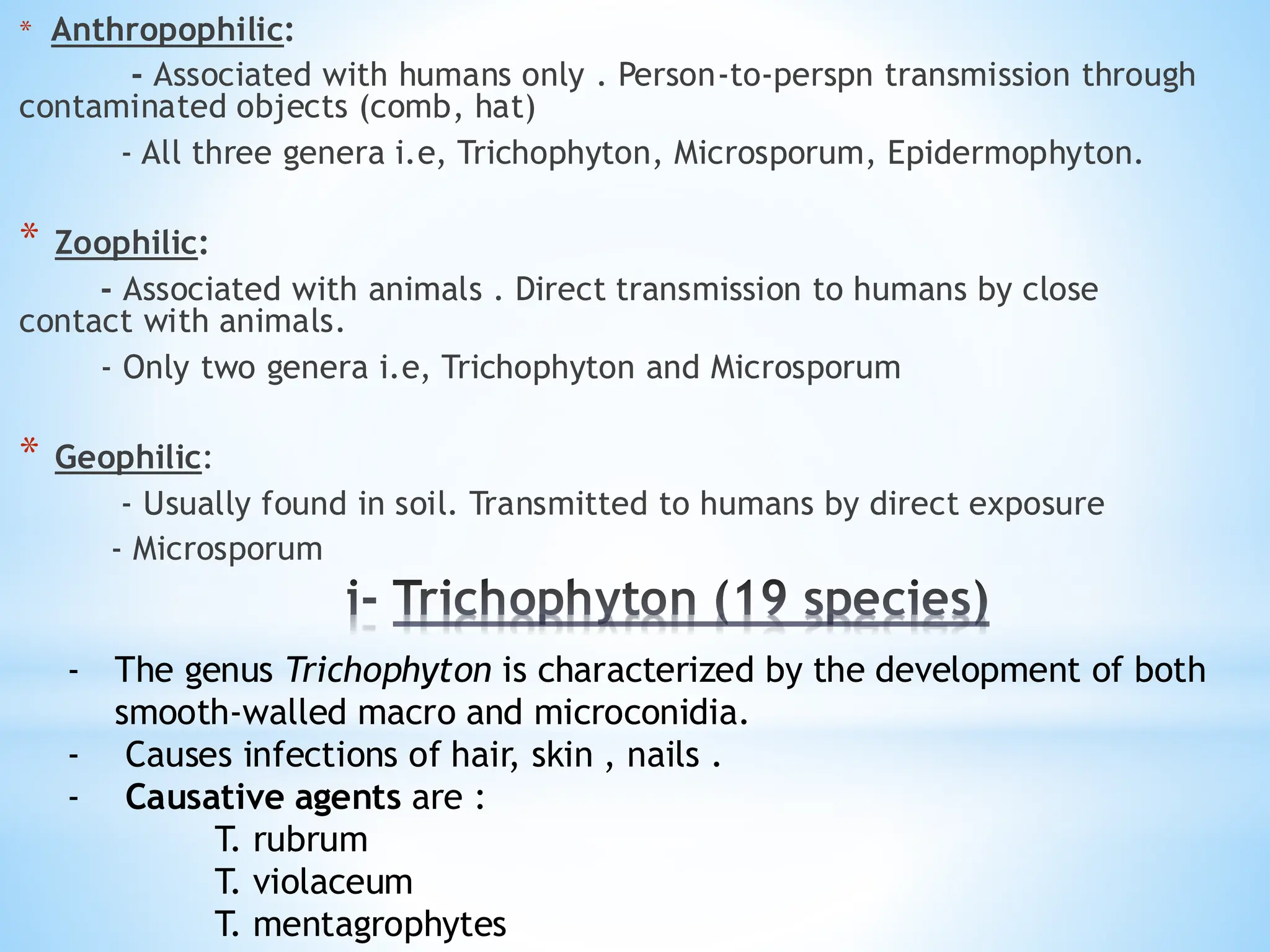 i- Trichophyton (19 species)
* Anthropophilic:
- Associated with humans only . Person-to-perspn transmission through
contaminated objects (comb, hat)
- All three genera i.e, Trichophyton, Microsporum, Epidermophyton.
* Zoophilic:
- Associated with animals . Direct transmission to humans by close
contact with animals.
- Only two genera i.e, Trichophyton and Microsporum
* Geophilic:
- Usually found in soil. Transmitted to humans by direct exposure
- Microsporum
- The genus Trichophyton is characterized by the development of both
smooth-walled macro and microconidia.
- Causes infections of hair, skin , nails .
- Causative agents are :
T. rubrum
T. violaceum
T. mentagrophytes
 