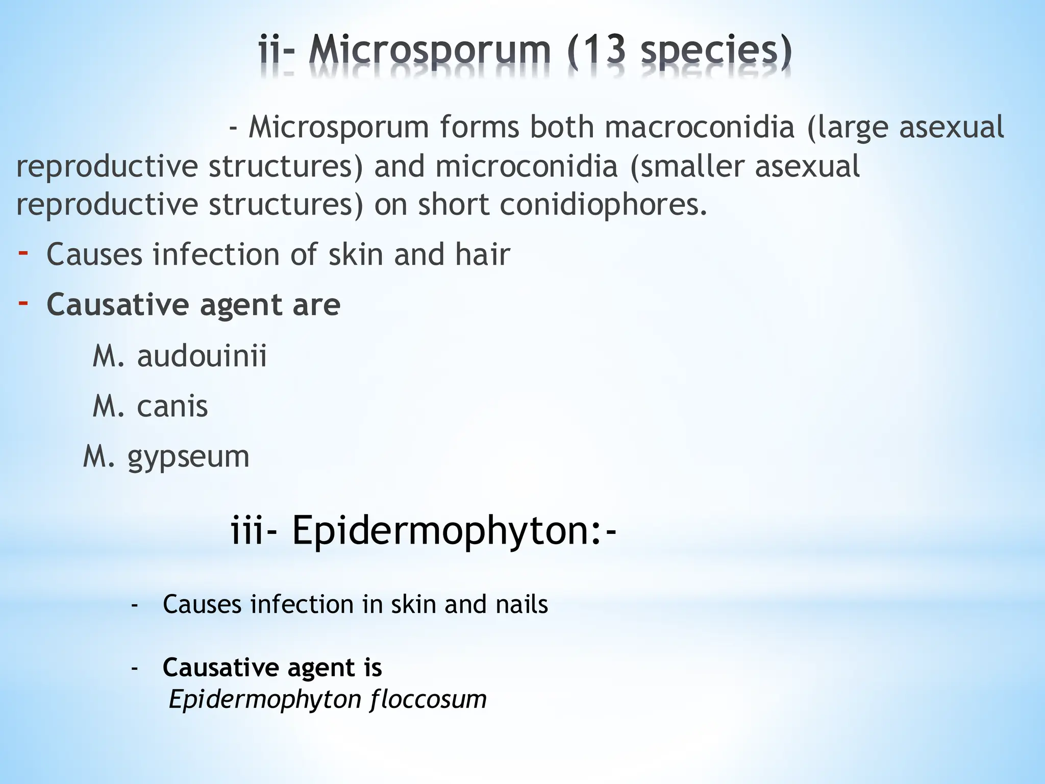 ii- Microsporum (13 species)
- Microsporum forms both macroconidia (large asexual
reproductive structures) and microconidia (smaller asexual
reproductive structures) on short conidiophores.
- Causes infection of skin and hair
- Causative agent are
M. audouinii
M. canis
M. gypseum
iii- Epidermophyton:-
- Causes infection in skin and nails
- Causative agent is
Epidermophyton floccosum
 
