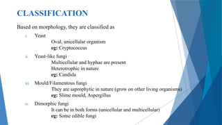 Fungi in Microbiology: Classification, Structure and Functions.pptx