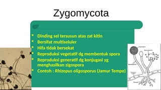 Materi tentang fungi, berisi tentang ciri-ciri perkembangbiakan fungi ...