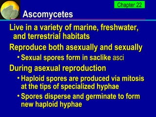 Fungi apbio-1204208133234612-5 | PPT