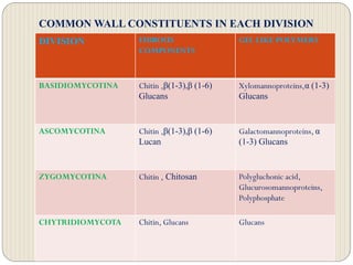 COMMON WALL CONSTITUENTS IN EACH DIVISION
DIVISION FIBROUS
COMPONENTS
GEL LIKE POLYMERS
BASIDIOMYCOTINA Chitin ,β(1-3),β (1-6)
Glucans
Xylomannoproteins,α (1-3)
Glucans
ASCOMYCOTINA Chitin ,β(1-3),β (1-6)
Lucan
Galactomannoproteins, α
(1-3) Glucans
ZYGOMYCOTINA Chitin , Chitosan Polygluchonic acid,
Glucurosomannoproteins,
Polyphosphate
CHYTRIDIOMYCOTA Chitin, Glucans Glucans
 