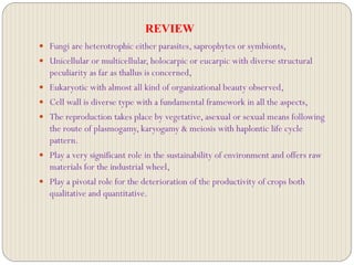 REVIEW
 Fungi are heterotrophic either parasites, saprophytes or symbionts,
 Unicellular or multicellular, holocarpic or eucarpic with diverse structural
peculiarity as far as thallus is concerned,
 Eukaryotic with almost all kind of organizational beauty observed,
 Cell wall is diverse type with a fundamental framework in all the aspects,
 The reproduction takes place by vegetative, asexual or sexual means following
the route of plasmogamy, karyogamy & meiosis with haplontic life cycle
pattern.
 Play a very significant role in the sustainability of environment and offers raw
materials for the industrial wheel,
 Play a pivotal role for the deterioration of the productivity of crops both
qualitative and quantitative.
 