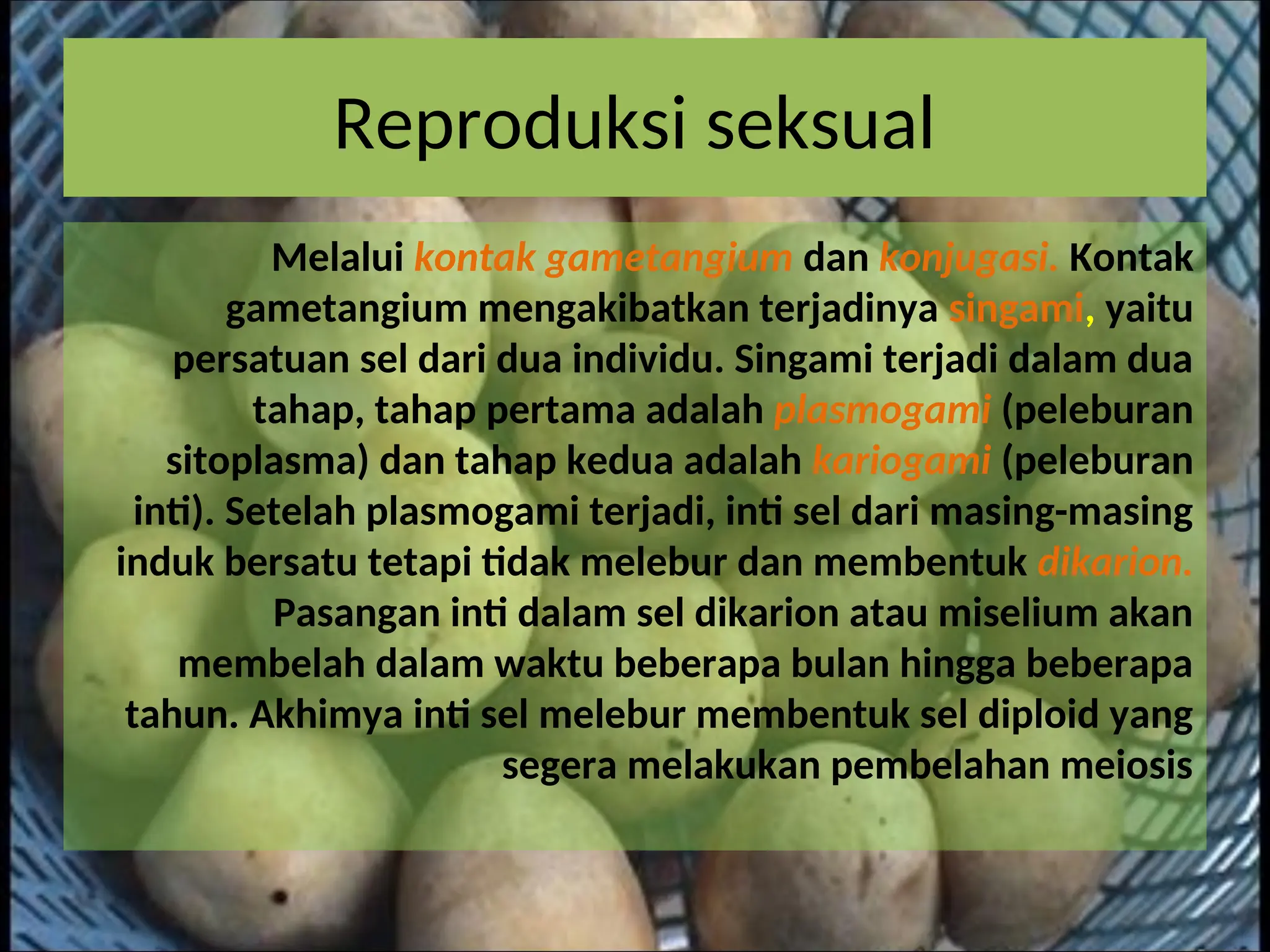 fungi didun autosaved ppttttttttttttffff PPT fungi didun autosaved ppttttttttttttffff PPT