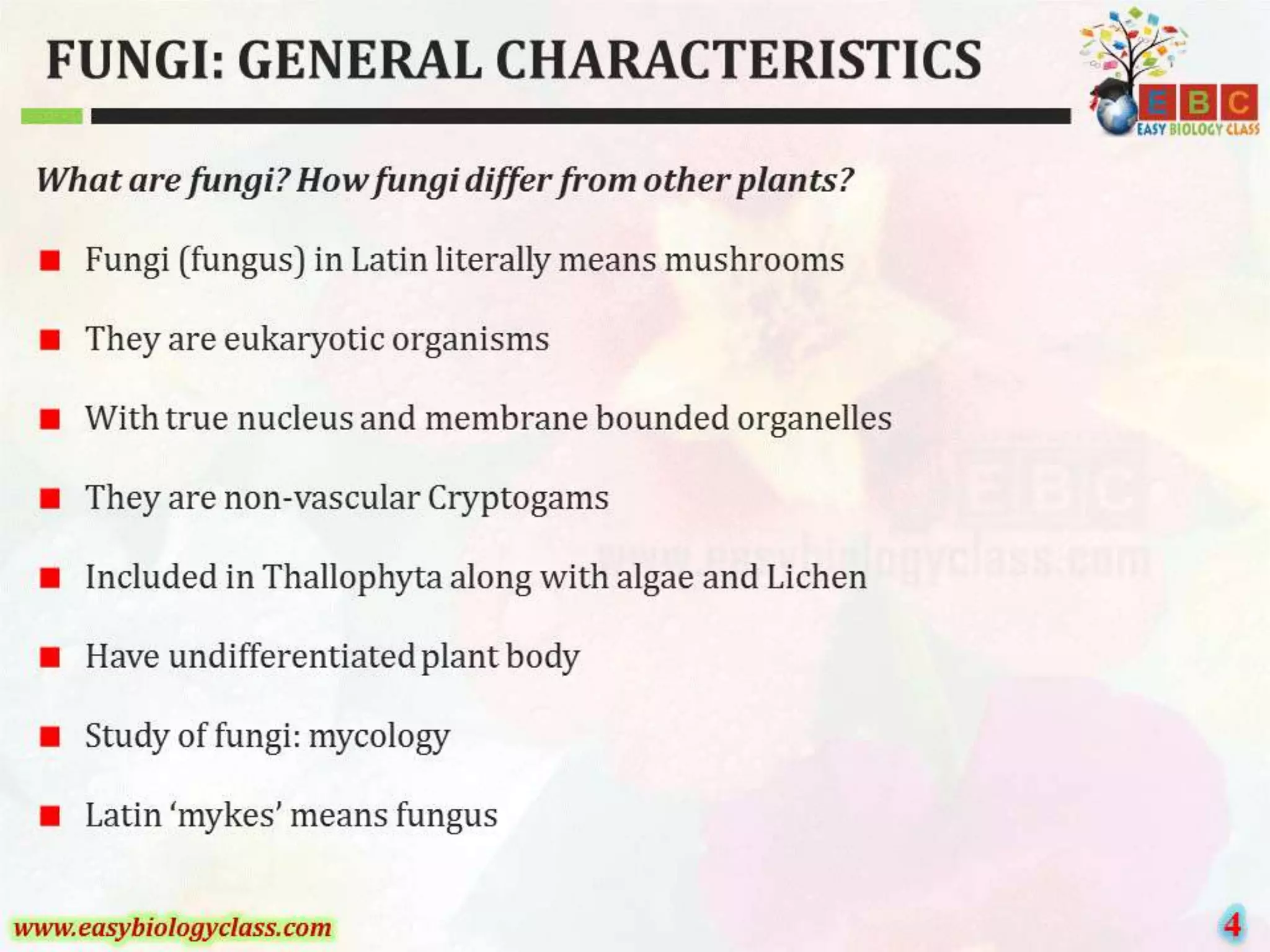 Fungi general-characteristics-ppt | PPTX | Biological Sciences | Science