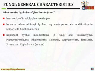 Fungi general-characteristics-ppt | PPTX