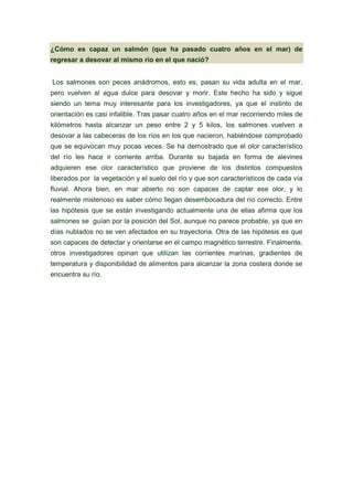 ¿Cómo es capaz un salmón (que ha pasado cuatro años en el mar) de
regresar a desovar al mismo río en el que nació?


Los salmones son peces anádromos, esto es, pasan su vida adulta en el mar,
pero vuelven al agua dulce para desovar y morir. Este hecho ha sido y sigue
siendo un tema muy interesante para los investigadores, ya que el instinto de
orientación es casi infalible. Tras pasar cuatro años en el mar recorriendo miles de
kilómetros hasta alcanzar un peso entre 2 y 5 kilos, los salmones vuelven a
desovar a las cabeceras de los ríos en los que nacieron, habiéndose comprobado
que se equivocan muy pocas veces. Se ha demostrado que el olor característico
del río les hace ir corriente arriba. Durante su bajada en forma de alevines
adquieren ese olor característico que proviene de los distintos compuestos
liberados por la vegetación y el suelo del río y que son característicos de cada vía
fluvial. Ahora bien, en mar abierto no son capaces de captar ese olor, y lo
realmente misterioso es saber cómo llegan desembocadura del río correcto. Entre
las hipótesis que se están investigando actualmente una de ellas afirma que los
salmones se guían por la posición del Sol, aunque no parece probable, ya que en
días nublados no se ven afectados en su trayectoria. Otra de las hipótesis es que
son capaces de detectar y orientarse en el campo magnético terrestre. Finalmente,
otros investigadores opinan que utilizan las corrientes marinas, gradientes de
temperatura y disponibilidad de alimentos para alcanzar la zona costera donde se
encuentra su río.
 