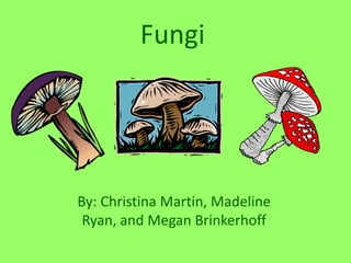 Fungi




By: Christina Martin, Madeline
 Ryan, and Megan Brinkerhoff
 
