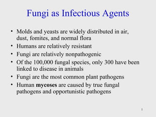 1
Fungi as Infectious Agents
• Molds and yeasts are widely distributed in air,
dust, fomites, and normal flora
• Humans are relatively resistant
• Fungi are relatively nonpathogenic
• Of the 100,000 fungal species, only 300 have been
linked to disease in animals
• Fungi are the most common plant pathogens
• Human mycoses are caused by true fungal
pathogens and opportunistic pathogens
 