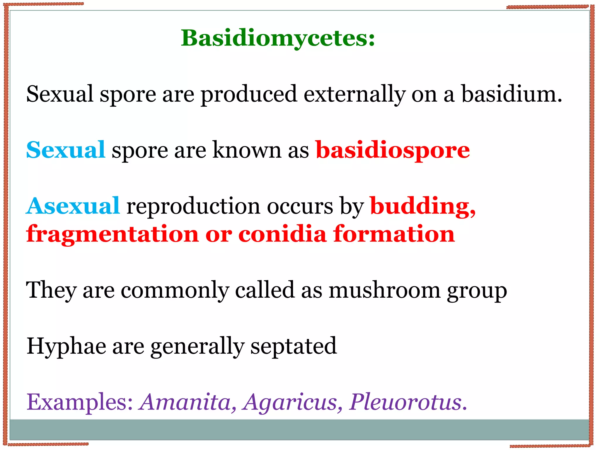 Identification of Fungi | PPTX