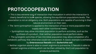 • This is less extreme sort of interaction than mutualism in which the interaction is
clearly beneficial to both species, allowing the equilibrium populations levels. The
association is not an obligatory one. Both populations are capable of surviving in their
natural environment on their own.
• The term syntrophism is applied to the interaction of two or more population that
supply each other nutritional needs.
• Syntrophism may allow microbial population to perform activities, such as the
synthesis of a product , that neither population could perform alone.
• The synergistic activities of two microbial population may allow completion of a
metabolic pathway that otherwise could not completed. A classic example is exihibited
by Enterococcus faecalis and Escherichia coli.
• Neither organism alone is able to covert arginine to putrescine. E.faecalis is able to
convert arginine ornithine,which can be then utilized by the E.coli population to
produce putrescine.
PROTOCOOPERATION
:
 
