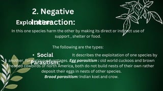2. Negative
Interaction:
Exploitation:
In this one species harm the other by making its direct or indirect use of
support , shelter or food.
The following are the types:
• Social
Parasitism:
It describes the exploitation of one species by
another, for various advantages. Egg parasitism : old world cuckoos and brown
headed cowbirds of north America, both do not build nests of their own rather
deposit their eggs in nests of other species.
Brood parasitism: Indian koel and crow.
 
