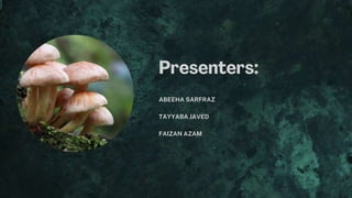 ABEEHA SARFRAZ
TAYYABA JAVED
FAIZAN AZAM
 