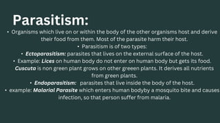 Parasitism:
• Organisms which live on or within the body of the other organisms host and derive
their food from them. Most of the parasite harm their host.
• Parasitism is of two types:
• Ectoparasitism: parasites that lives on the external surface of the host.
• Example: Lices on human body do not enter on human body but gets its food.
Cuscuta is non green plant grows on other greeen plants. It derives all nutrients
from green plants.
• Endoparasitism: parasites that live inside the body of the host.
• example: Malarial Parasite which enters human bodyby a mosquito bite and causes
infection, so that person suffer from malaria.
 