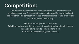 Competition:
This involves the competition among different organism for limited
available resources. This competition out to be good for one animal and
bad for other. This competition can be interspecies also. In this inferior one
will be eliminated eventually.
Example of interspecies competition:
Dolphins go along together and play with each other but when its time to
eat, all dolphins have to compete for a meal.
Interaction betweeen fungi and bacteria.
 