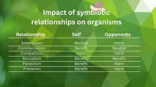 Relationship Self Opponents
Harm
Neutral
Harm
Benefit
Harm
Harm
Neutral
Benefit
Harm
Benefit
Benefit
Benefit
Amensalism
Commensalism
Competition
Mutualism
Parasitism
Predation
Impact of symbiotic
relationships on organisms
 
