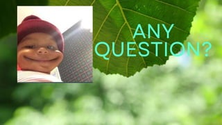 Fungi and Ecosystem interaction, presentation .pptx