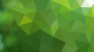 Fungi and Ecosystem interaction, presentation .pptx