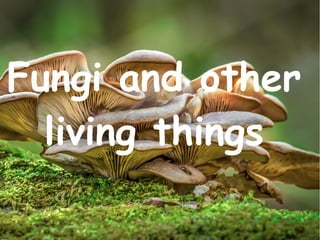 Fungi and other
living things
 