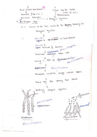 Fungi and plant pathology | PDF