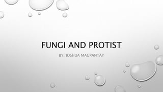 FUNGI AND PROTIST
BY: JOSHUA MAGPANTAY
 