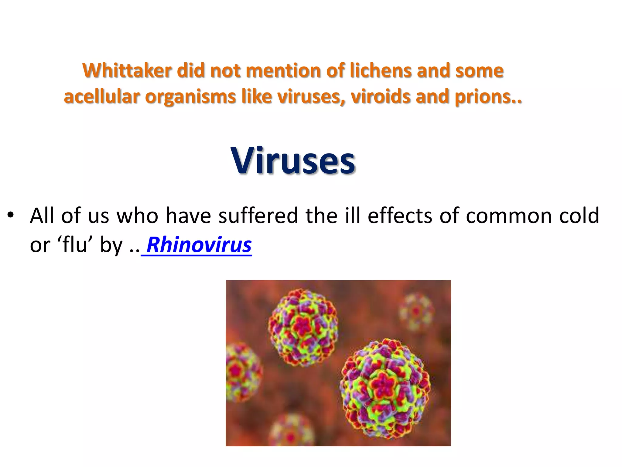 Fungi, Viruses, Prions, Viroids and Lichens | PPTX