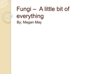 Fungi –  A little bit of everything By; Megan May 