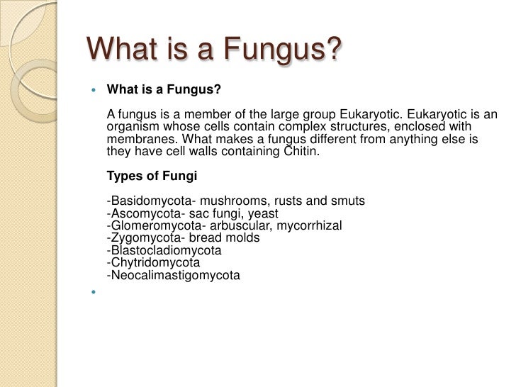 Fungi – body structure and life cycle fungal cell venn diagram 