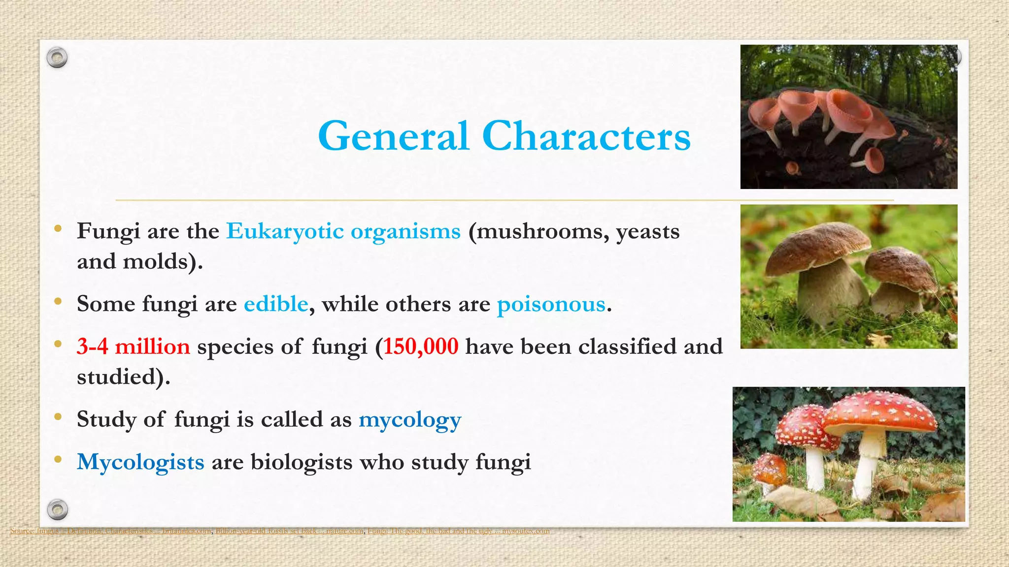Fungi characteristic features | PPT