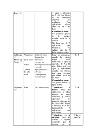 Trigo (26) y repita a intervalos
de 7 a 10 días. El uso
de un surfactante
mejorará los
resultados. Para
aplicaciones aéreas
utilice de 50 a 60
L/ha.
Contraindicaciones:
No pastoree ganado
en los campos
tratados antes de la
cosecha.
No haga más de 3
aplicaciones por
temporada. No
aplique más de 8
kg/ha por temporada.
Calabacita
(5)
Melón (5)
Pepino (5)
Antracnosis Collietotrichum
lagenarium
Inicie las aplicaciones
cuando las plantas
tengan 2 hojas
verdaderas y repita a
intervalos de 7 a 10
días. Utilice suficiente
agua y aplicaciones
dirigidas para obtener
una buena cobertura
por ambos lados de
las hojas.
Contraindicaciones:
No aplique más de 25
kg/ha al año.
1 a 4
Tizón foliar Alternaria
cucumerina
Mildiu Pseudoperonospora
cubensis
Gomosis
del tallo
Mycosphaerella
citrulina
Roña Cladosporium
cucumerinum
Espárrago
(26)
Roya Puccinia asparagi Tratamiento al
follaje: Inicie las
aplicaciones al follaje
después de haber
cosechado y cuando
aparezcan los
primeros síntomas de
la enfermedad. Repita
a intervalos de 10 días
(generalmente 4
aplicaciones son
suficientes).
2 a 4
Tratamiento en la
siembra: Lave las
coronas y después
sumérjalas por 5
minutos en la
25 kg en
200 L/ha
 